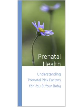 Prenatal Health Patient Brochure Cover